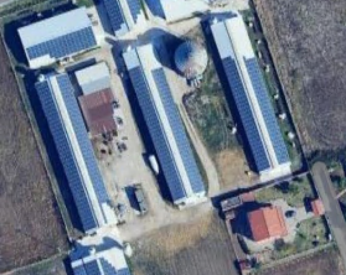 Aprilia, pollificio: controlli ok, niente anomalie