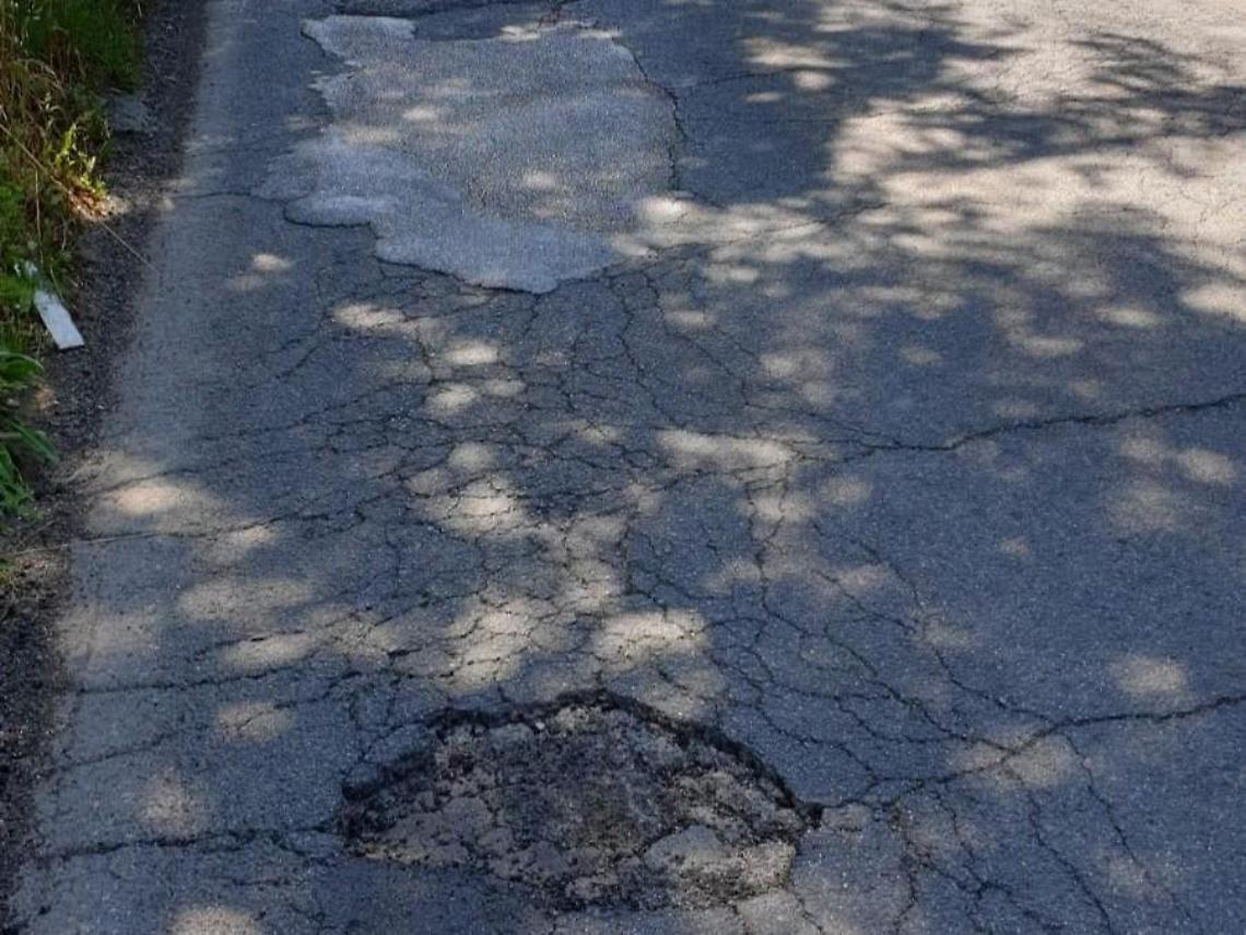 Litoranea colabrodo: tra buche sull'asfalto e alberi pericolanti