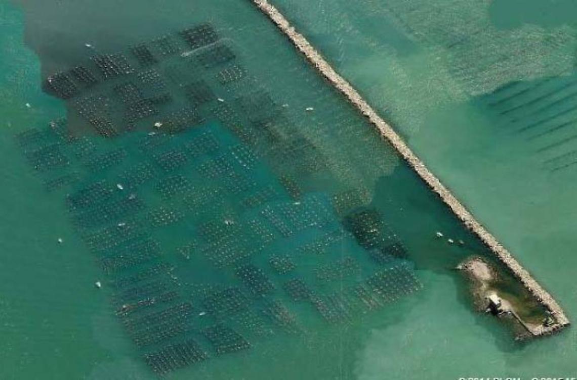 Impianti di itticoltura, conto alla rovescia per la scadenza delle concessioni