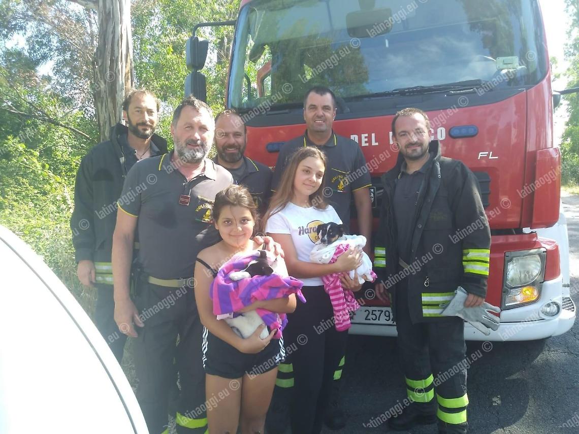 Vigili del Fuoco salvano due cuccioli, il ringraziamento dall'Enpa