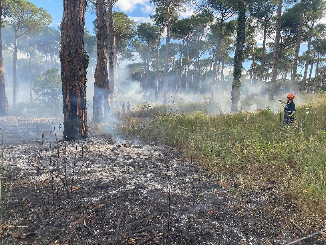 Paura in pineta, un incendio danneggia l'area verde della &laquo;Campana&raquo;