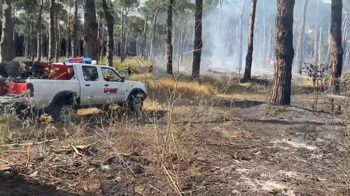 Ancora un incendio alla pineta della Campana: ora la conta dei danni