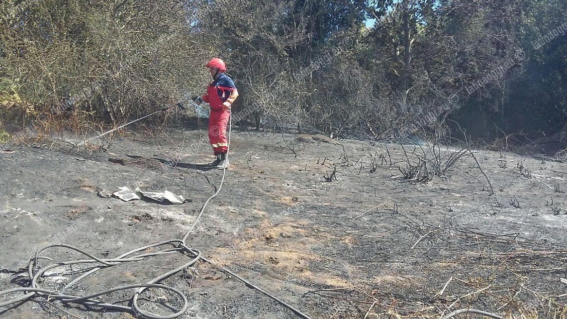Prevenzione degli incendi boschivi, l'ordinanza per i privati