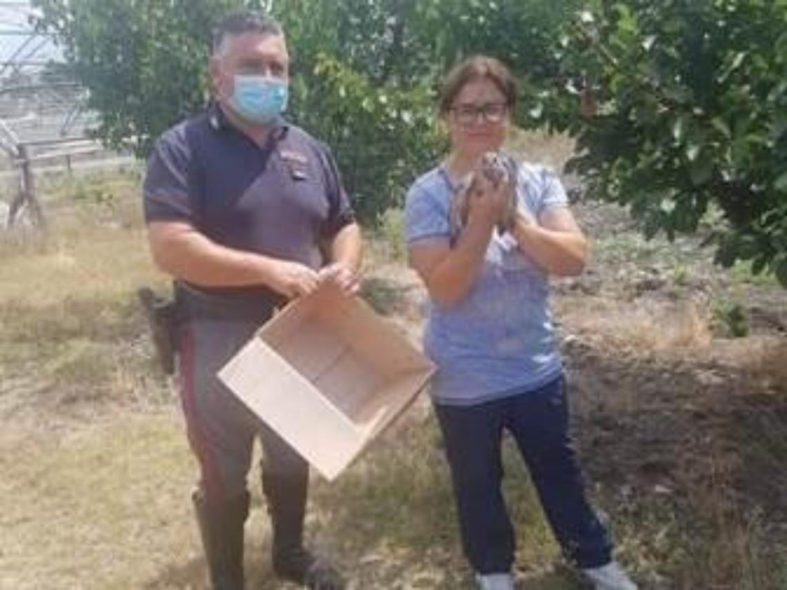 Falchetto in difficolt&agrave; salvato dagli agenti della polizia stradale