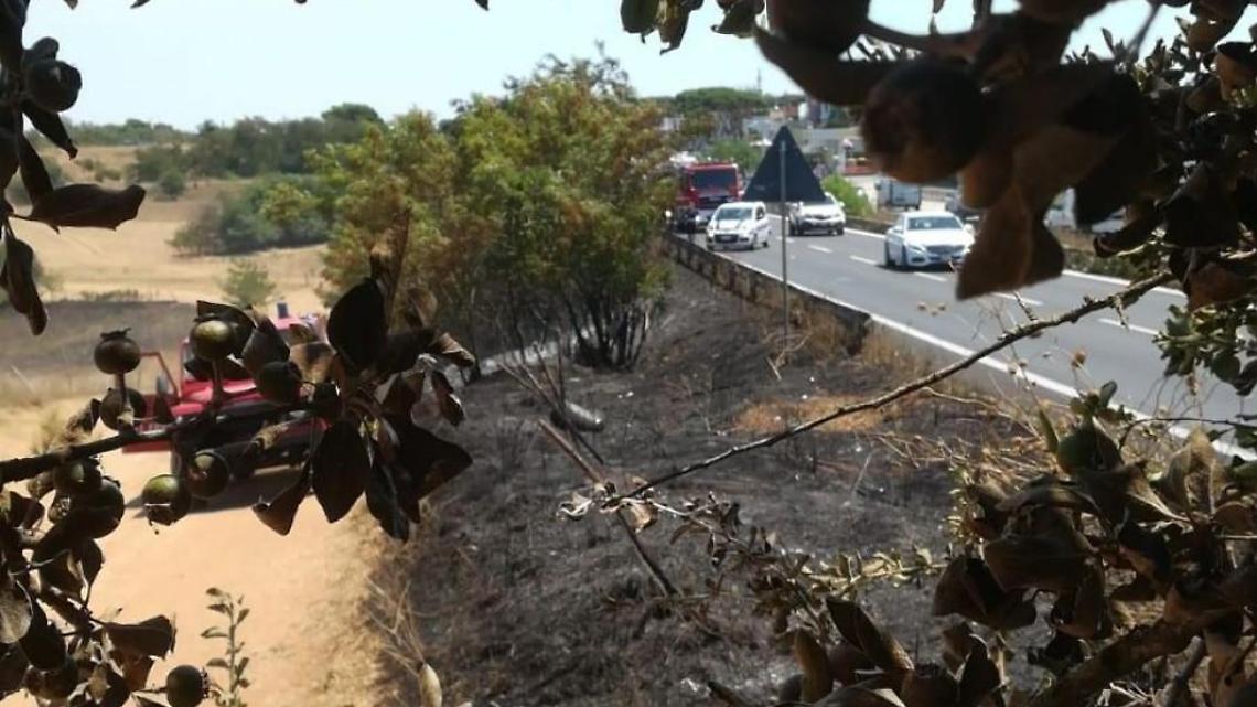 Pontina «rovente»: nuovo incendio a ridosso della 148. Traffico in tilt