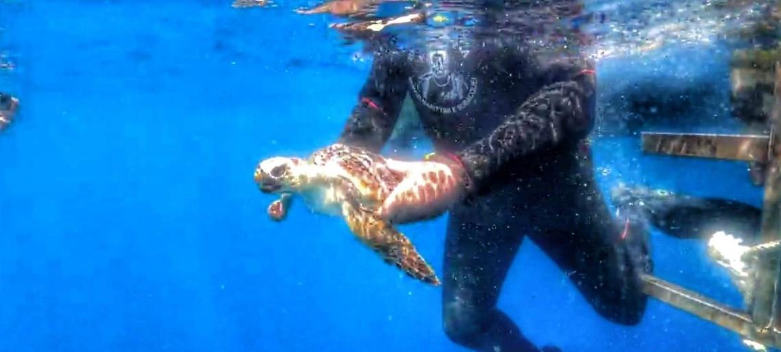Salvaguardia delle biodiversità: firmato l'accordo con la Società Naturalisti