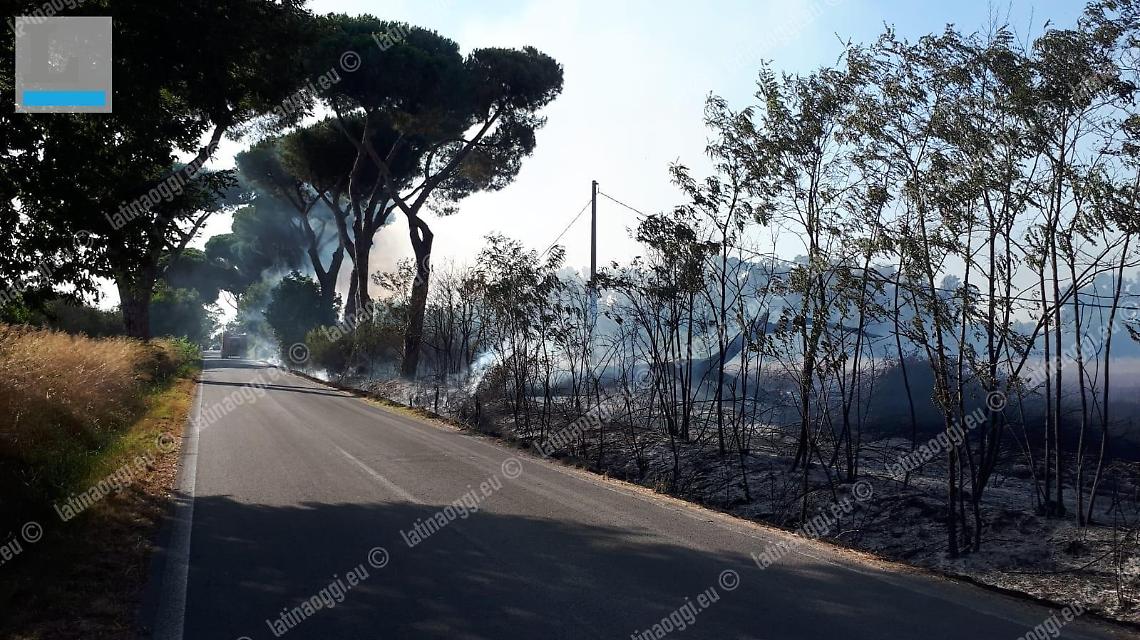 Latina, allarme incendi: chiusa via Nascosa. Le fiamme ai margini della strada