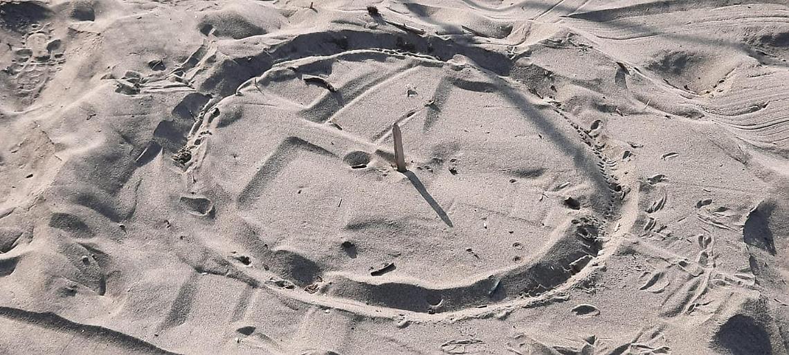 Le uova di Caretta Caretta stanno per schiudersi, scatta l'ordinanza