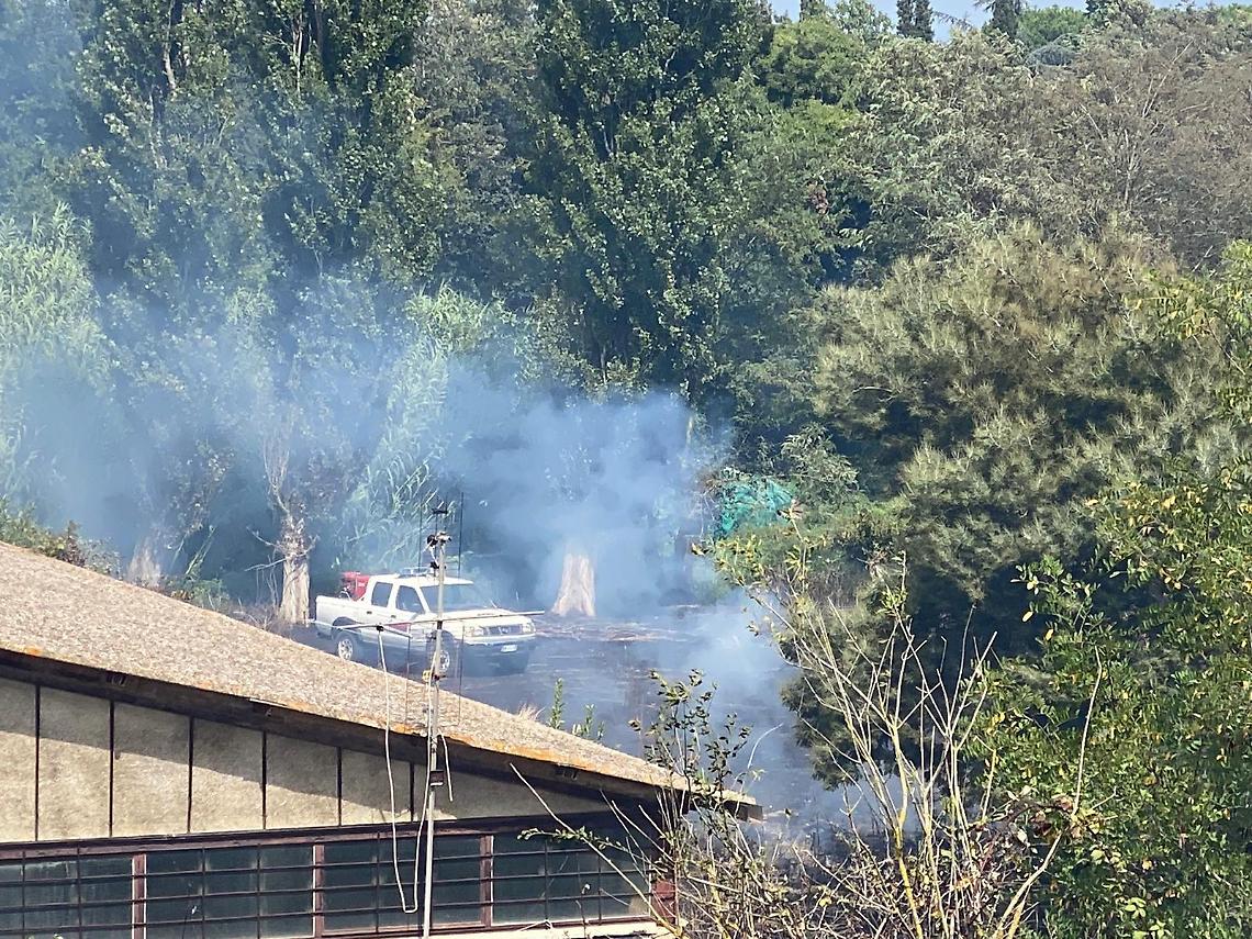 Incendio sul litorale, le fiamme minacciano alcuni fabbricati