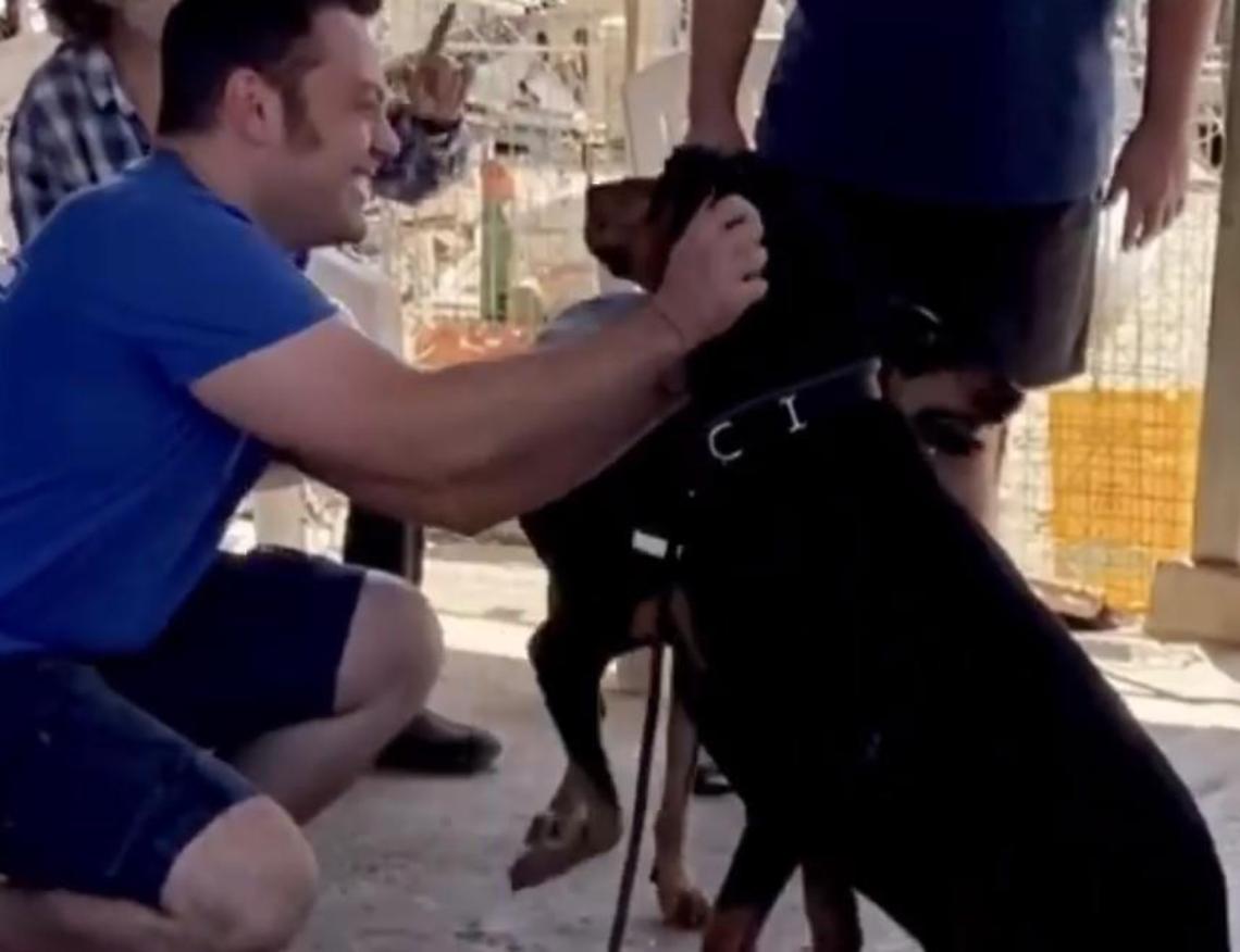 Tiziano Ferro: "Adottate cani adulti". Lui lo fa per primo, ecco Jake