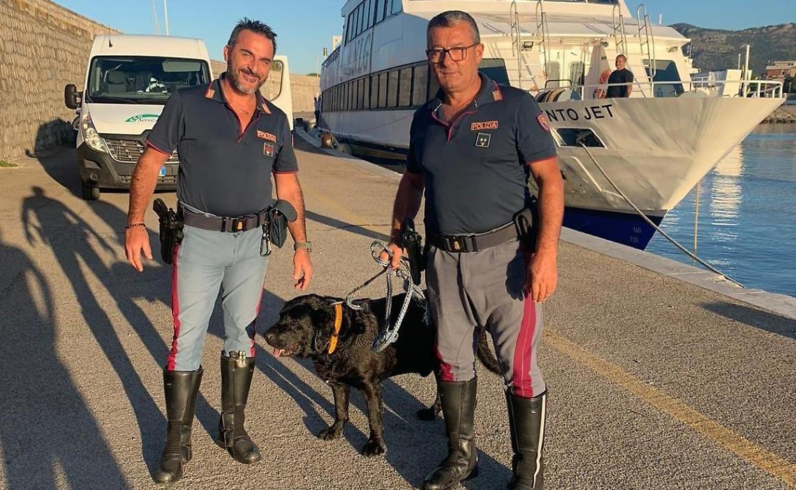 Cane  finisce nelle acque del porto, salvato dai poliziotti