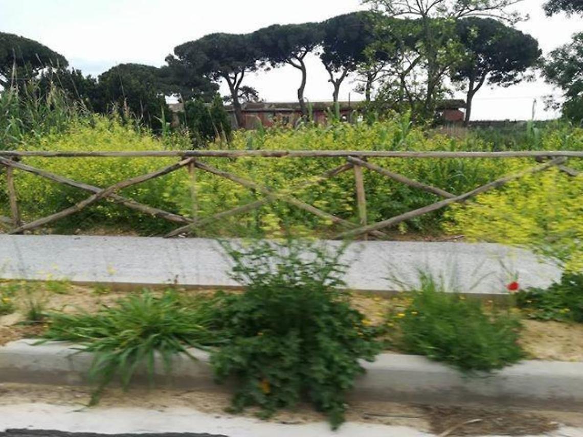 Pedonalizzazione a Rio Martino, interviene la Pro Loco di Borgo Grappa