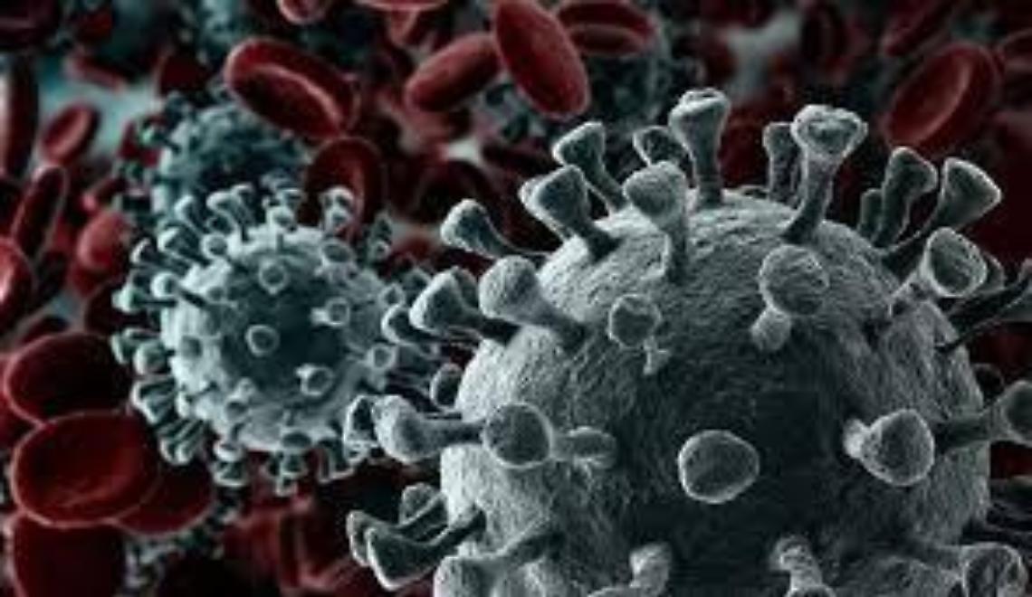 Dipendente dell'anagrafe positivo, uffici chiusi per due giorni