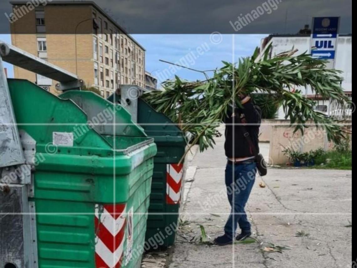 Gettano le potature nel cassonetto, multati operai e proprietari