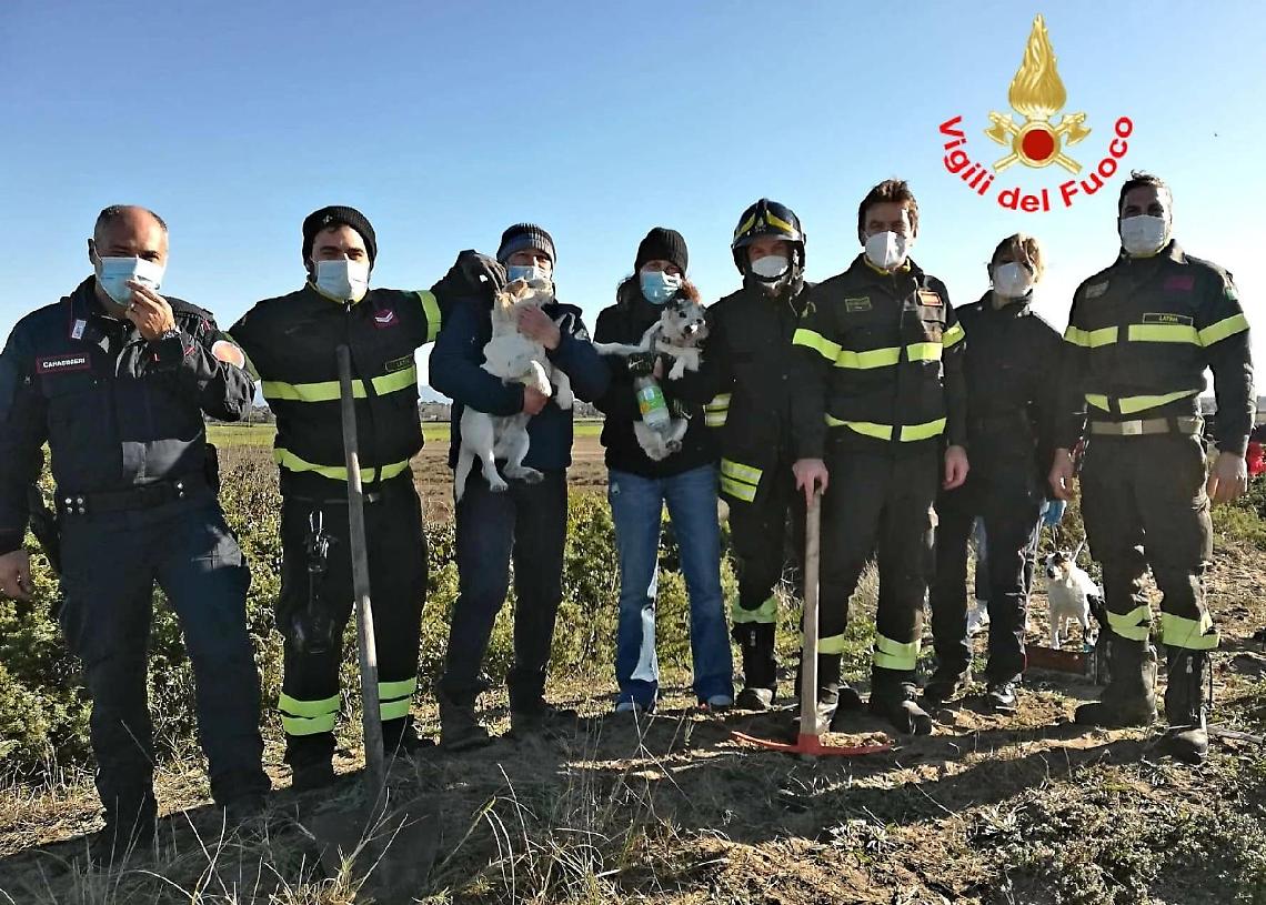 Si infilano nella tana di un istrice, salvati due cani dai vigili del fuoco