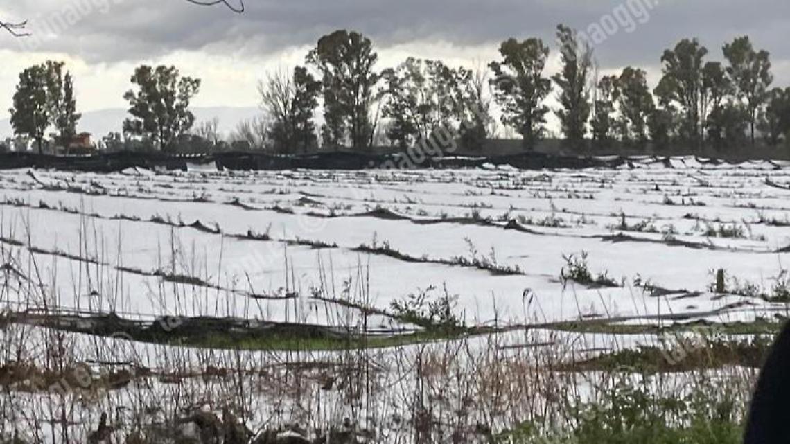 Grandinata a Borgo Faiti, Calandrini (FdI): "Chiedere stato di calamità"