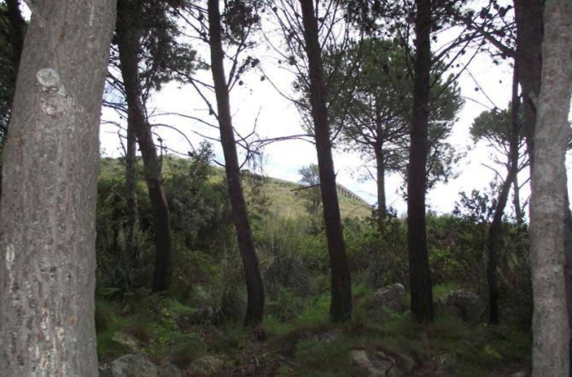 Attivisti M5S divisi, ma il parco della Fossata abbatte gli steccati