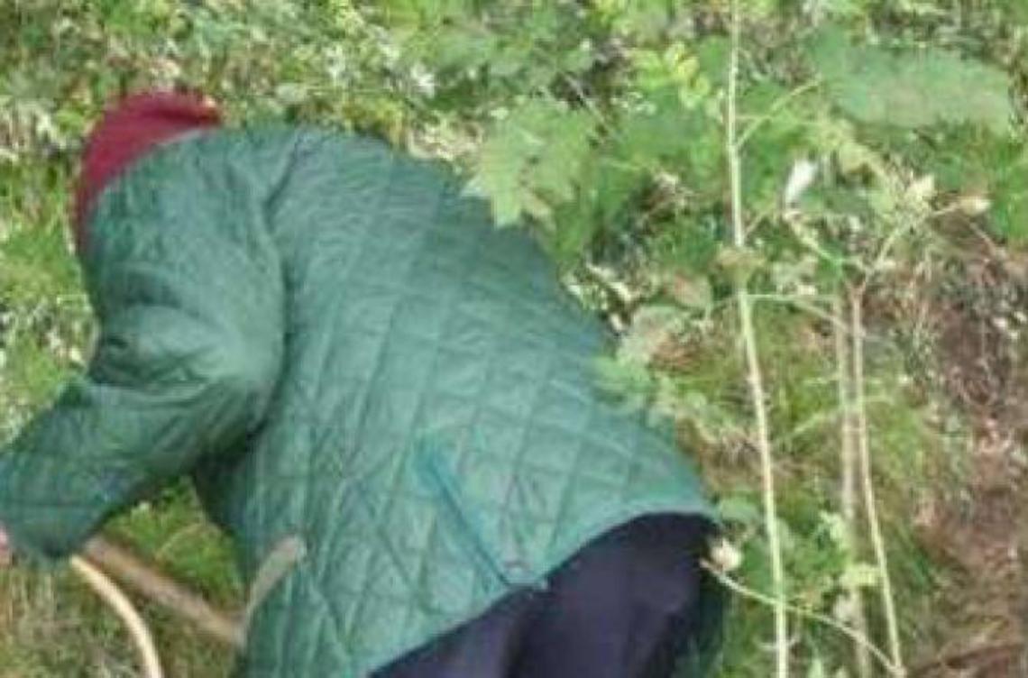 Priverno, muore d'infarto mentre coglie i funghi