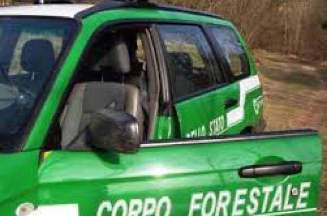 Fuochi notturni in campagna, scatta l'inchiesta