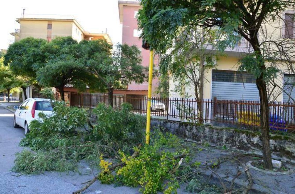 Allerta meteo per il vento forte