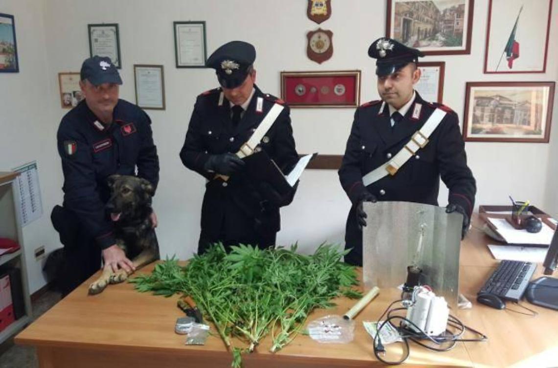Cocaina e Marijuana in casa:  un 26enne arrestato 