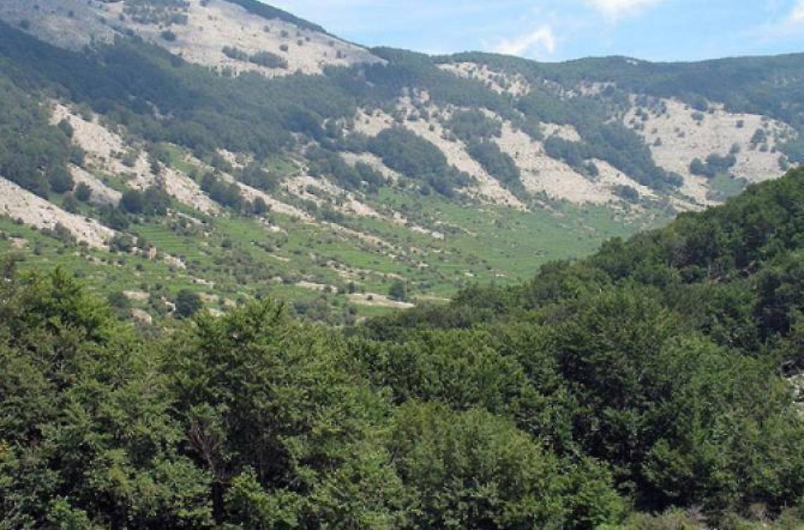 Approvato il bilancio della Compagnia dei Lepini
