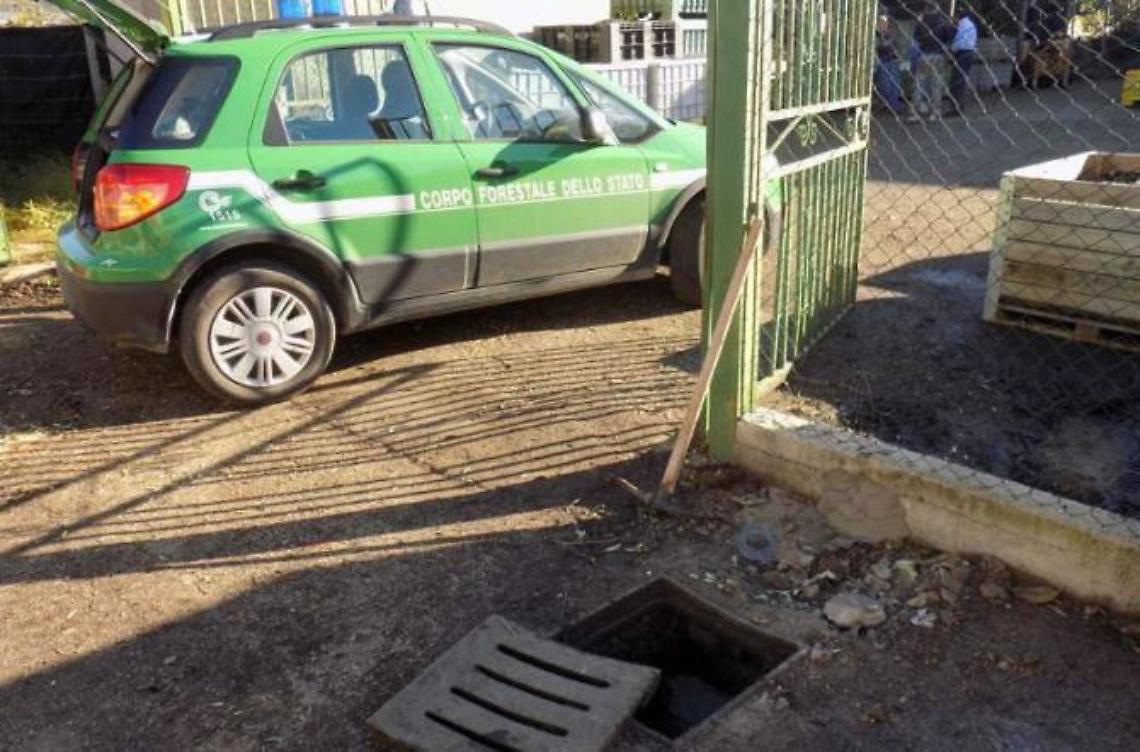 Il frantoio scarica abusivamente nel fosso, la Forestale denuncia il proprietario