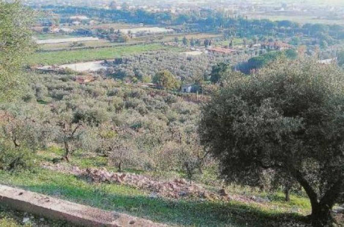 La pianura sottostante il costone franoso di Monte Leano