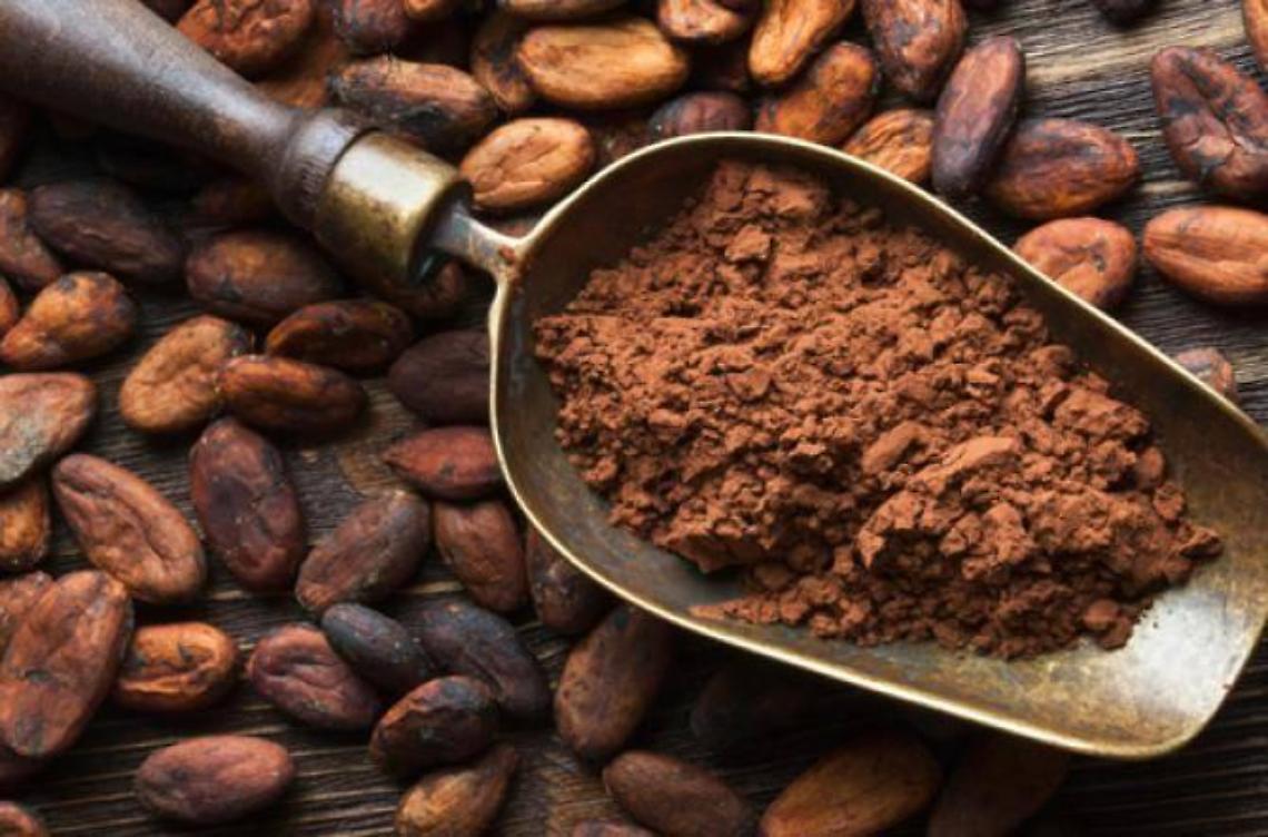 Il cibo del futuro che sa di cacao 