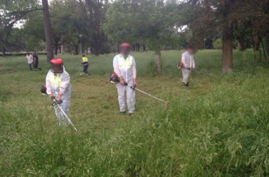 Il verde pubblico adesso non vale nulla