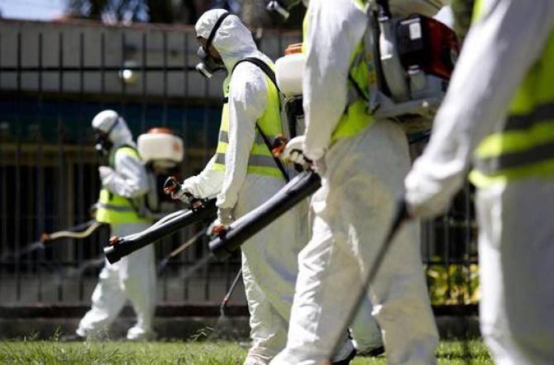 Virus Zika come ebola, polio e influenza suina: ora è emergenza internazionale