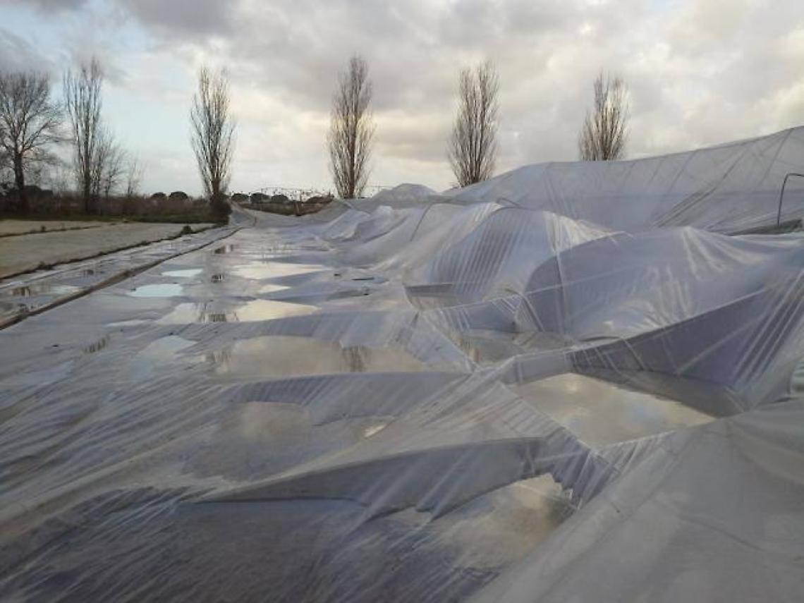 Violente raffiche di vento, danni alle serre