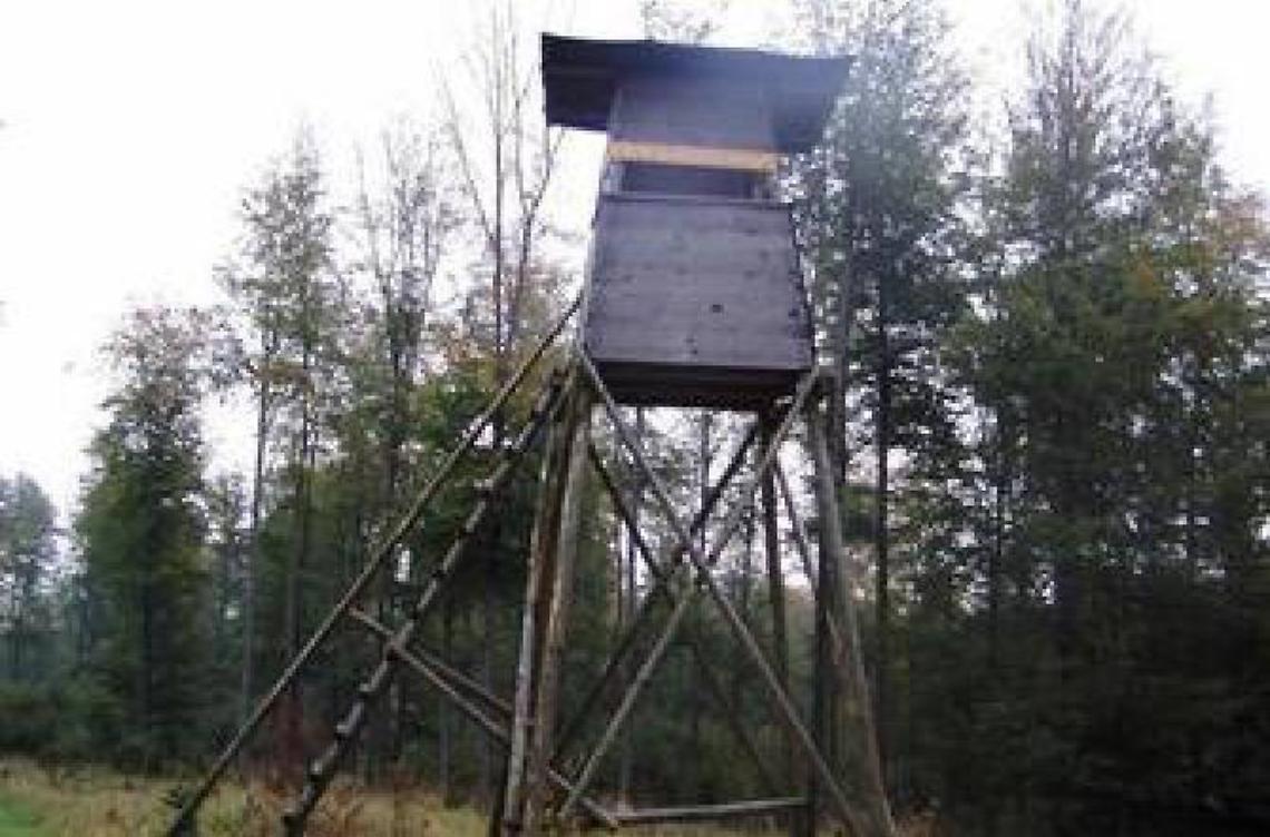 L'asse cede e precipita mentre fa birdwatching. Un 63enne trasportato al San Camillo