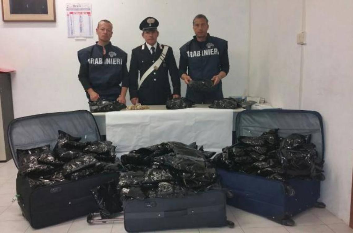 Preso con 25 chili di bulbi di papavero essiccati
