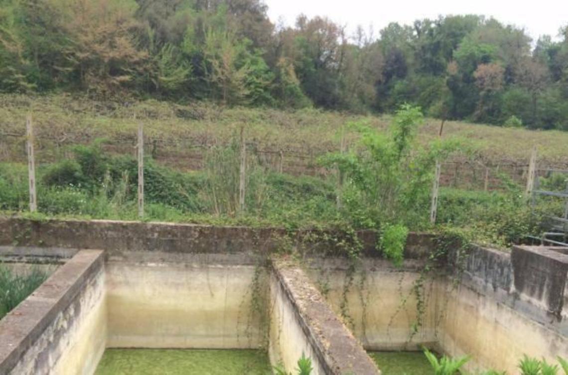 La denuncia: la sorgente Reggia di Turno va protetta, no allo sbancamento a Casalazzara