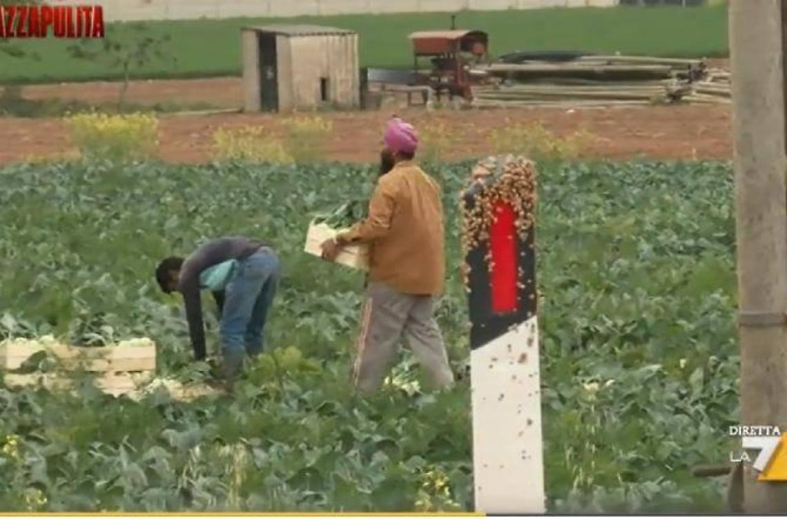 Caporalato e sfruttamento, inviata di La7 minacciata a Sabaudia