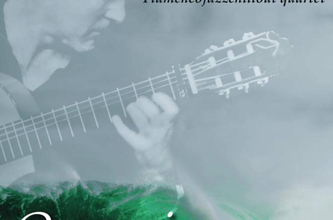 La chitarra di Riccardo Ascani allo Yacht Med Festival