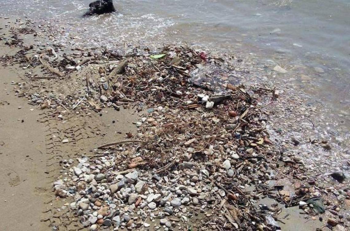 Acque del Golfo "macchiate" dall'itticoltura, balneari in rivolta