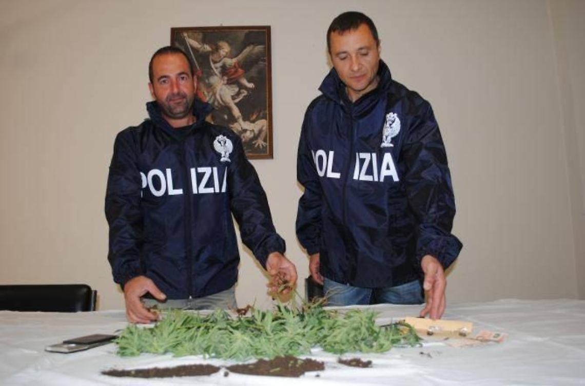 Coltivava marijuana, arrestato