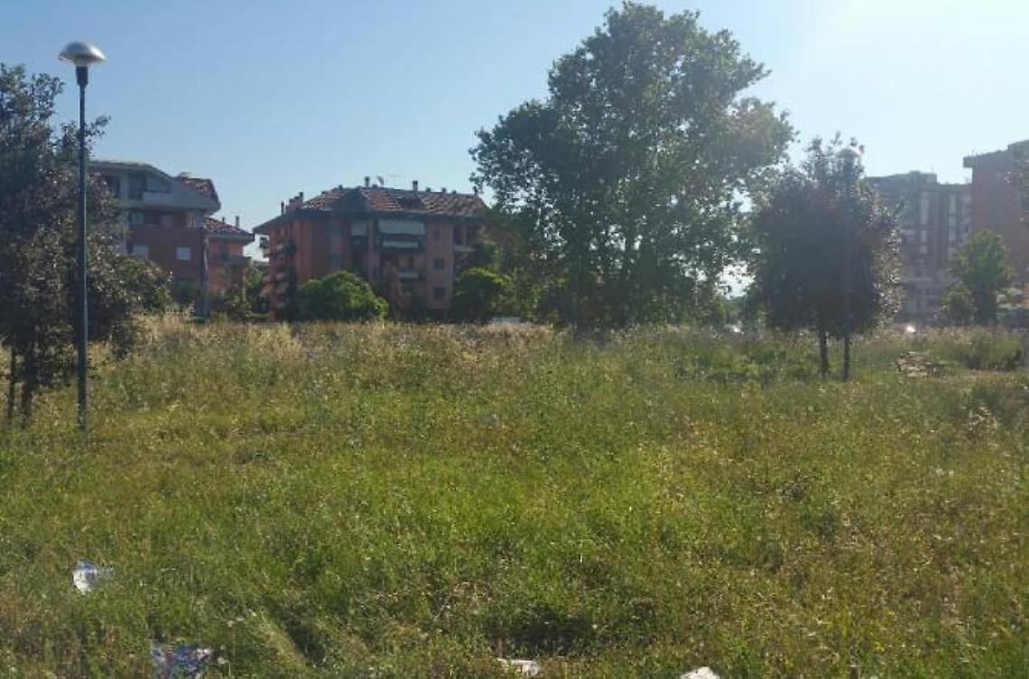 Angoli di città come giungle, lo scatto dalla Q4