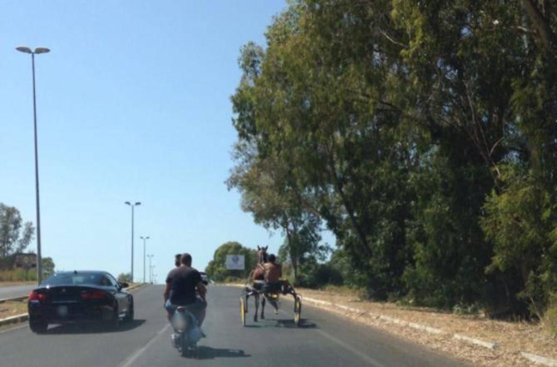 Anarchia in strada, ancora segnalazioni per i cavalli