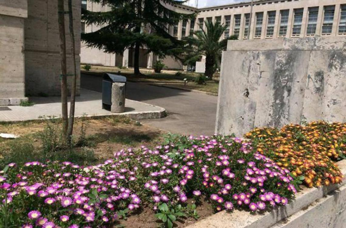Decoro urbano, Lbc prepara le proposte per una città più bella