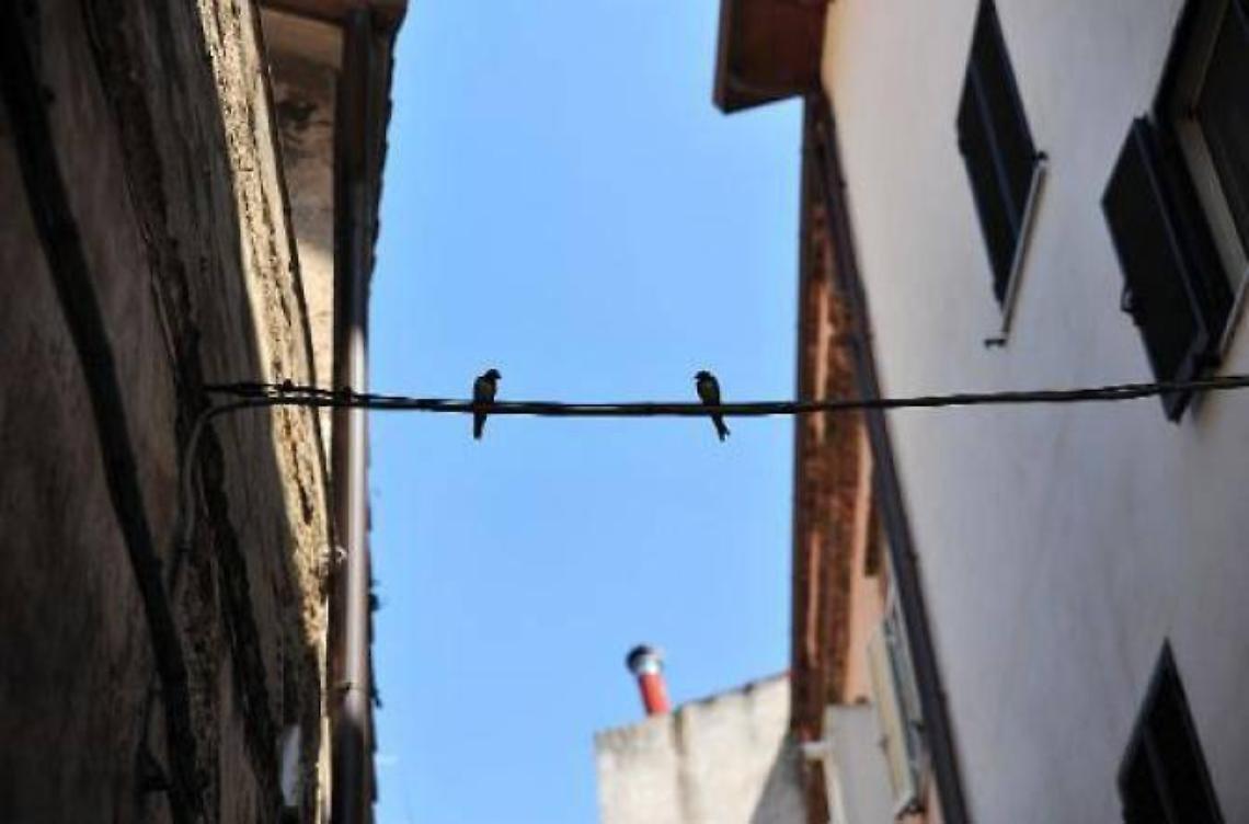 "Seminaria Sogninterra", tutto pronto per un festival magico