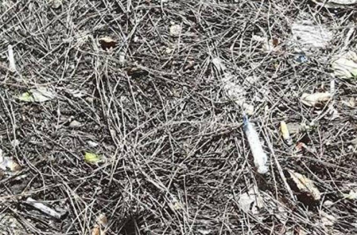 Siringhe abbandonate vicino al centro per le vaccinazioni dei bambini