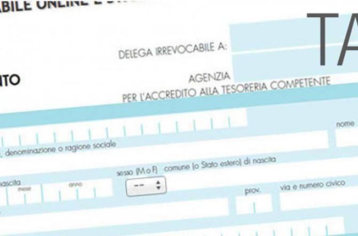 Tassa sui rifiuti, ecco i dati del 2015: ha pagato l'80% dei nettunesi 