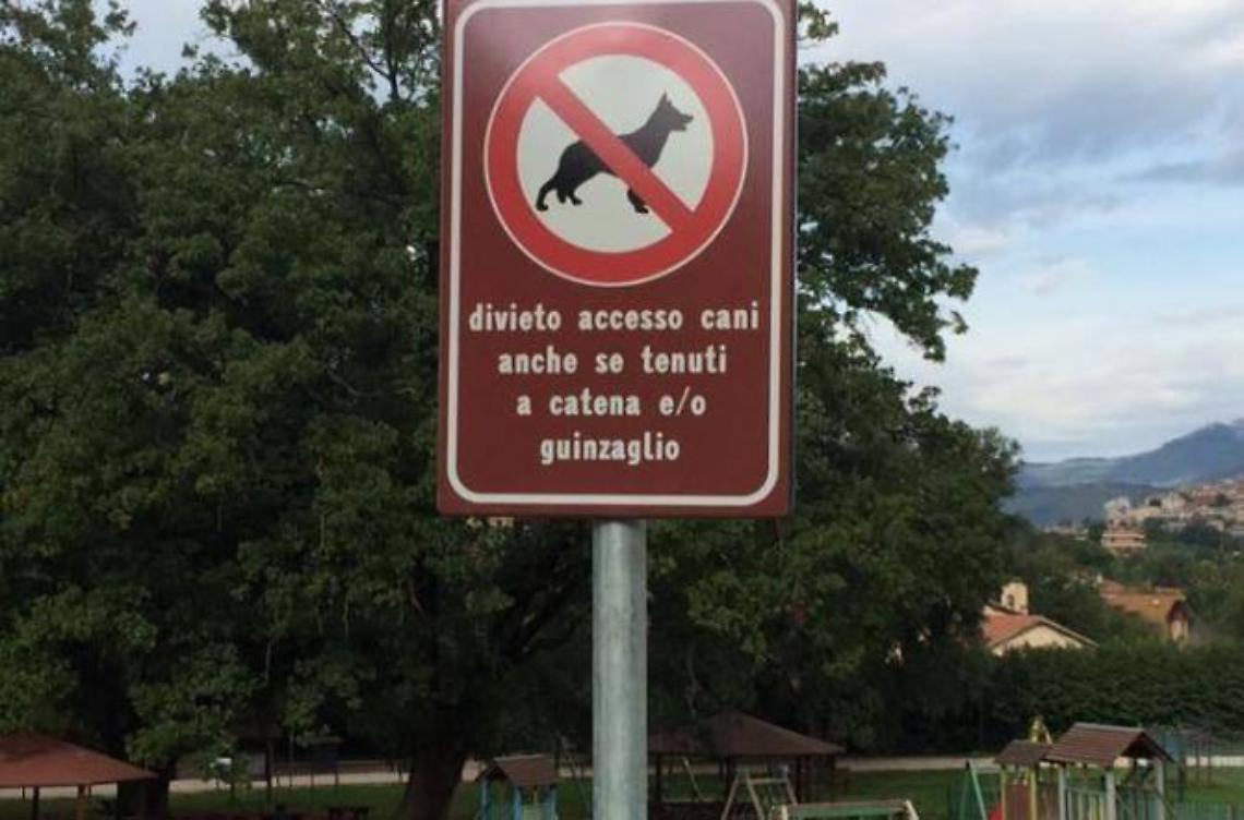 Cani, topi e cinghiali: quando gli animali diventano un problema