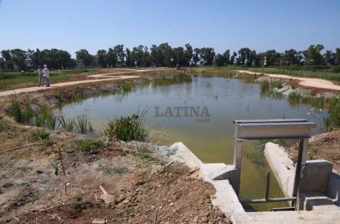 La fitodepurazione torna ad Acqualatina