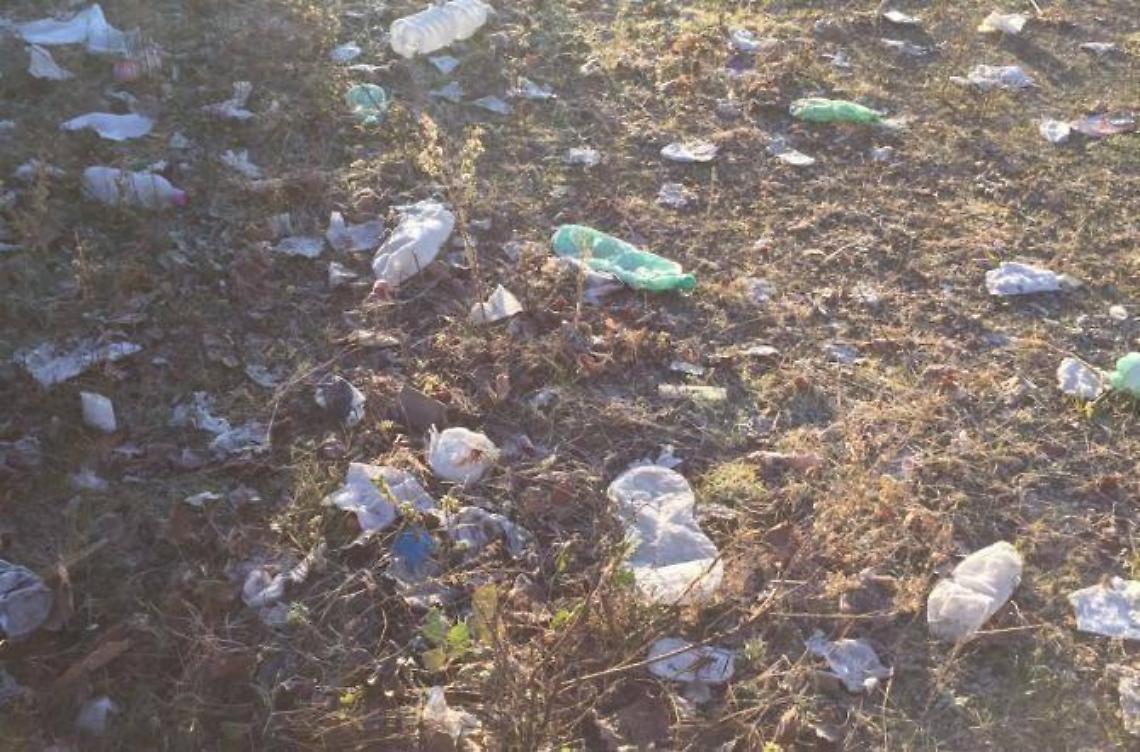 Politici netturbini: "Un gesto contro l'indifferenza"