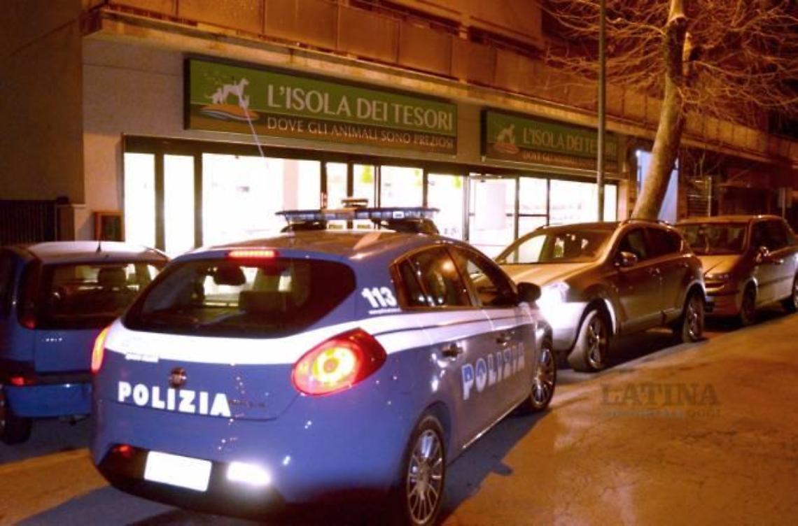 Ladri in azione nella notte: avevano puntato cappottini per cani