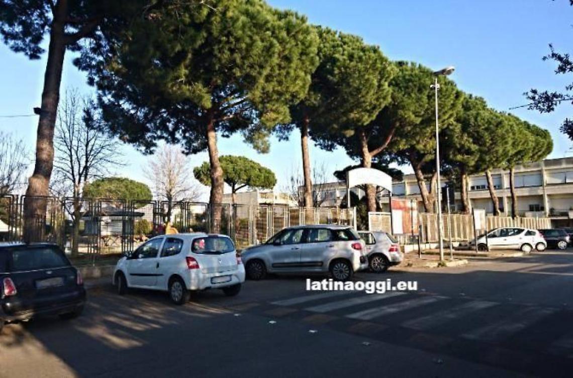 Cade mentre raccoglie le pigne, arriva l'eliambulanza